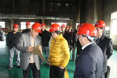 2012年1月31日，时任黄冈市委书记鲁俊携带市发改委等市级部门掌管人到公司调研