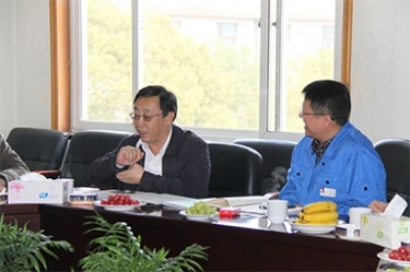 2013年3月18日，时任国度工信部节能司副司长杨铁生一行莅临公司参观领导